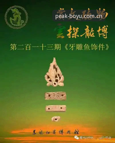 5个关键维度解读：博鱼app有风险吗使用指南