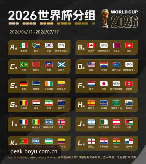 2026世界杯观赛签证难题完整解决方案指南——博鱼官方平台用户必读